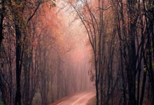 世界杯竞猜-班级足球联赛推动校园足球文化