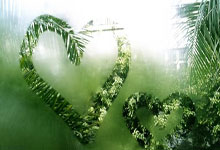 竞猜世界杯-2026世界杯：日本若小组出线将创造亚洲足球新纪录——连非洲球队也难及